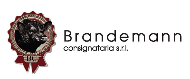 brandemann