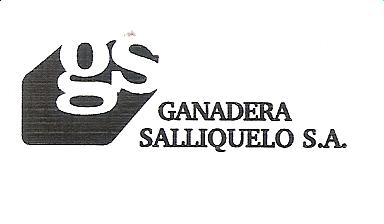 ganadera salliquelo