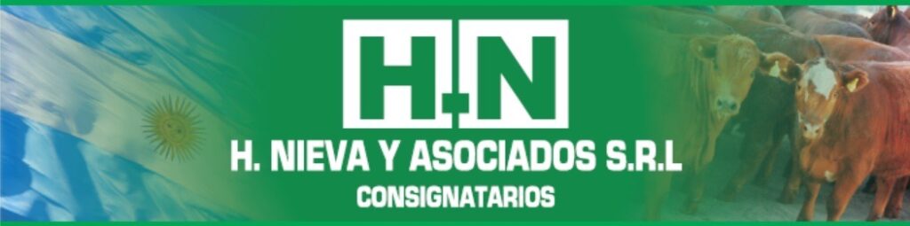 h. nieva y asociados