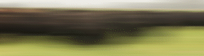 gif ipcva 400 x 110